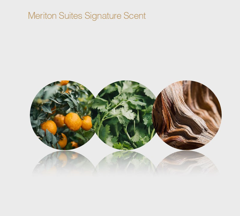 TWENTY 03 by Meriton Suites Interior Fragrance – 100ml